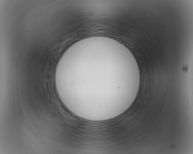 X0000111050570200906251123