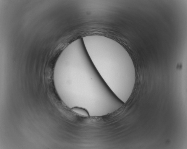 X0000111050571200906251123