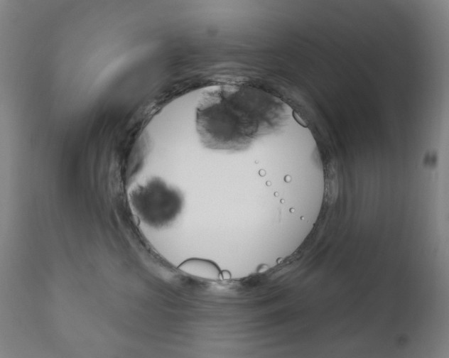 X0000111050573200906251123