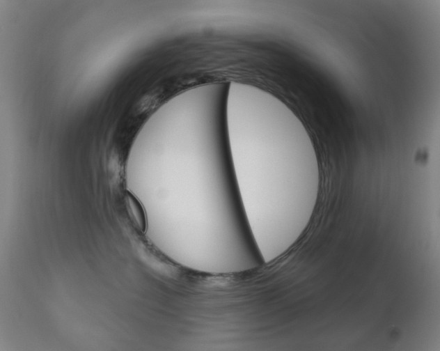 X0000111050574200906251123