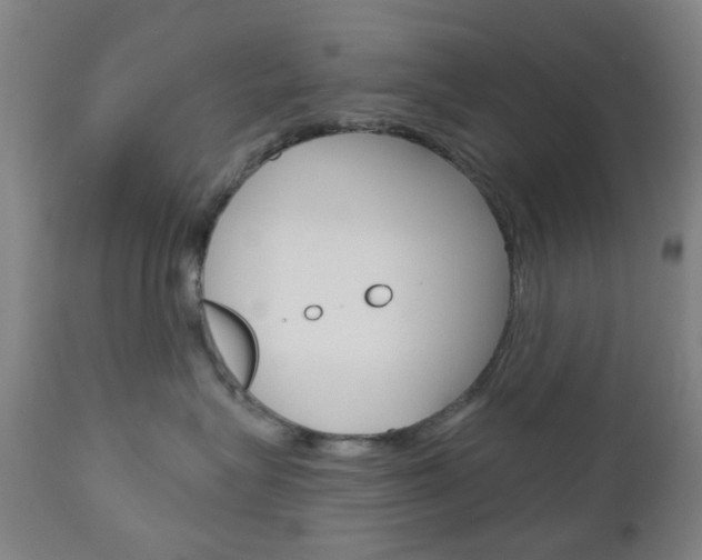 X0000111050575200906251123