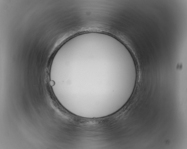 X0000111050578200906251122