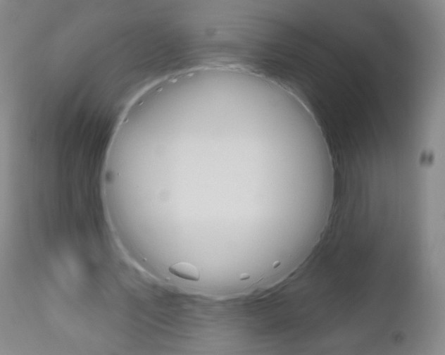 X0000111050579200906251122