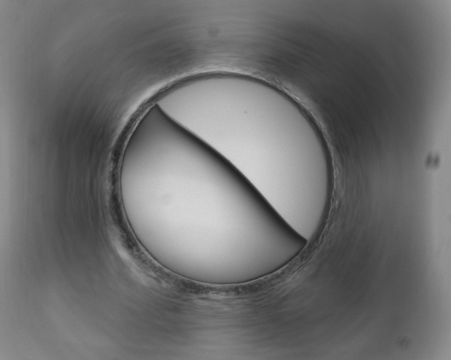 X0000111050580200906251122