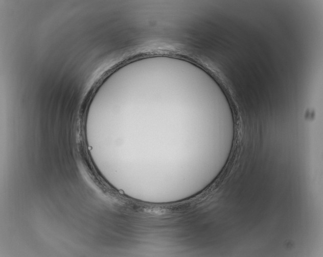 X0000111050582200906251122