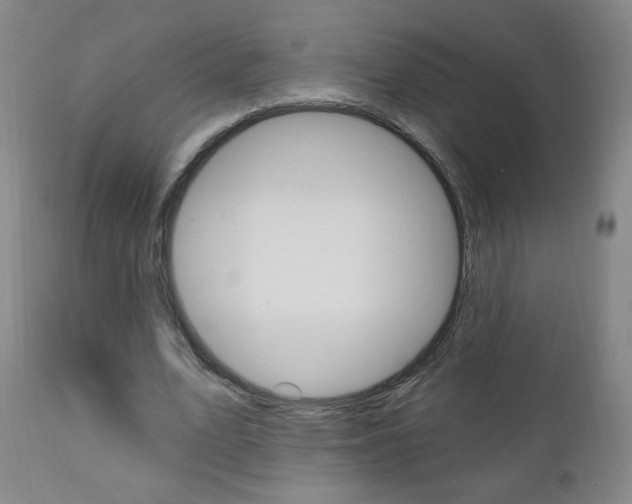 X0000111050583200906251122