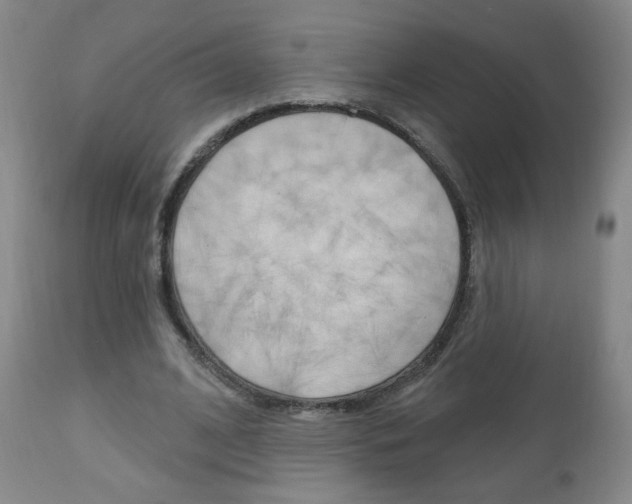 X0000111050584200906251122
