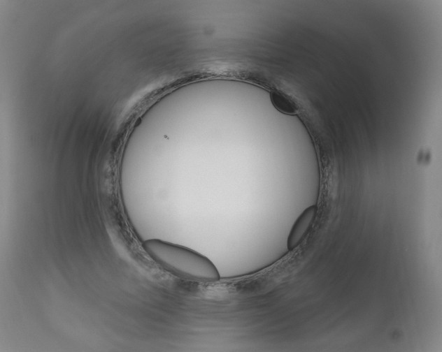 X0000111050587200906251122