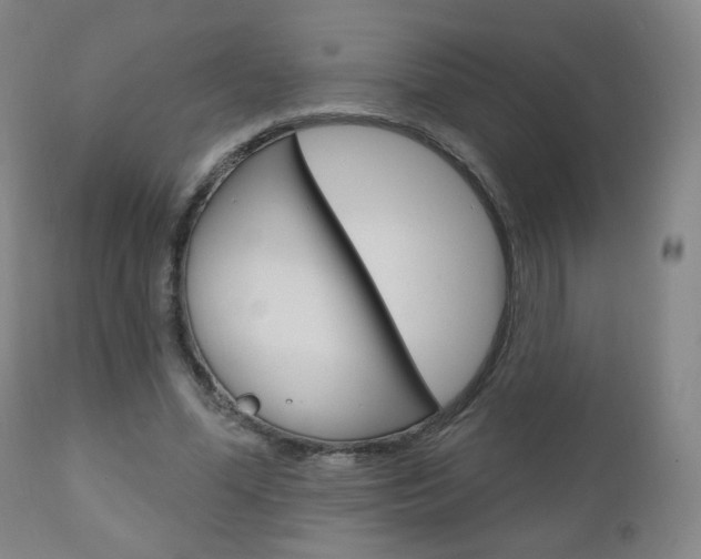 X0000111050588200906251122