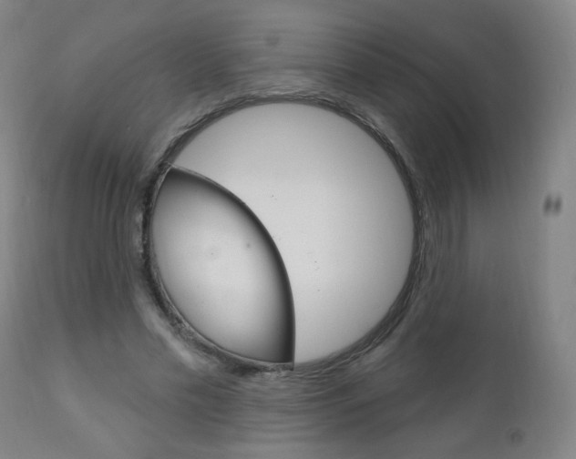 X0000111050589200906251122
