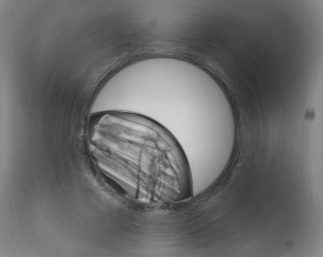 X0000111050593200906251122