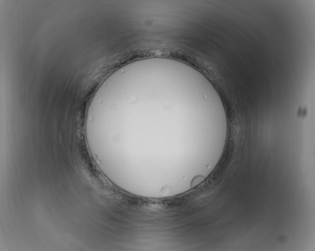 X0000111050594200906251122