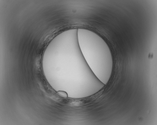 X0000111050595200906251122