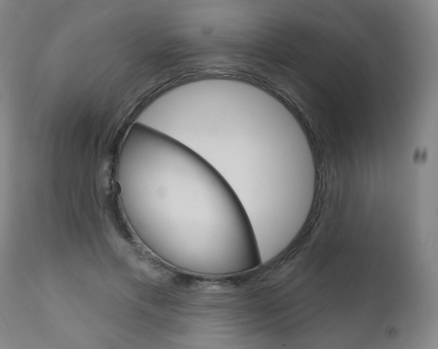 X0000111050597200906251122