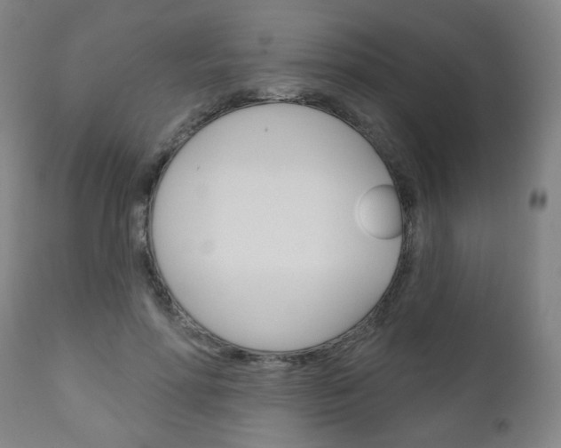 X0000111050598200906251121