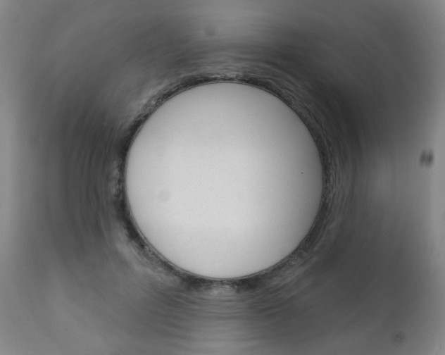 X0000111050600200906251121