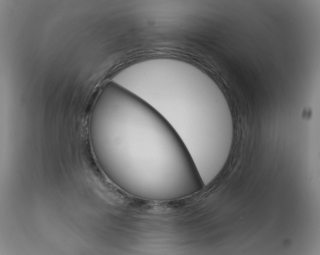 X0000111050601200906251121