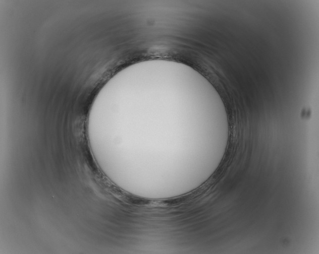X0000111050603200906251121
