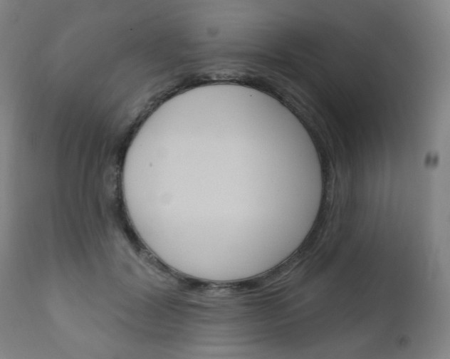 X0000111050604200906251121
