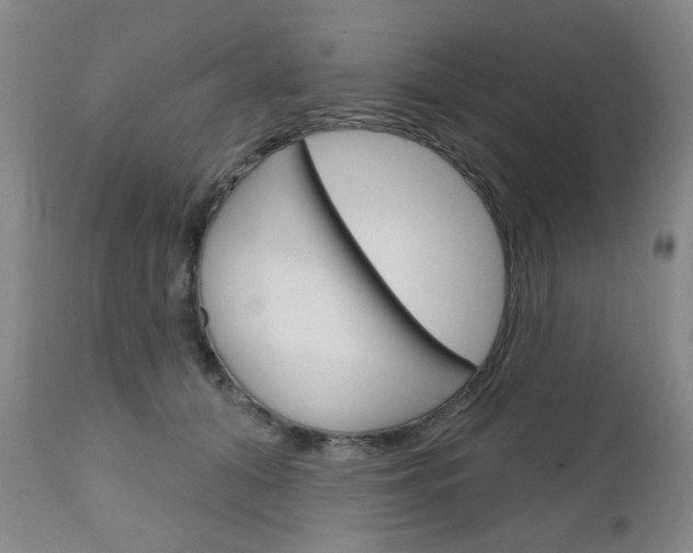 X0000111050608200906251121