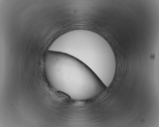 X0000111050609200906251121