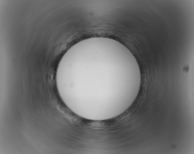 X0000111050615200906251121