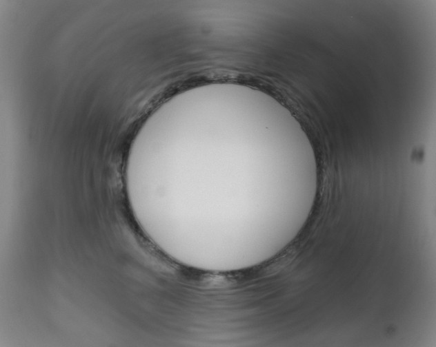 X0000111050616200906251121