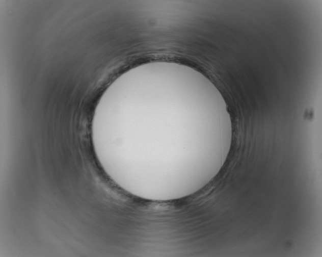X0000111050619200906251121