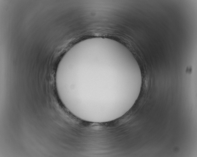 X0000111050620200906251121