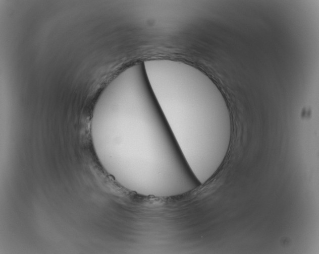 X0000111050624200906251121