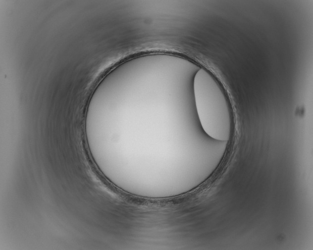 X0000111050625200906251120