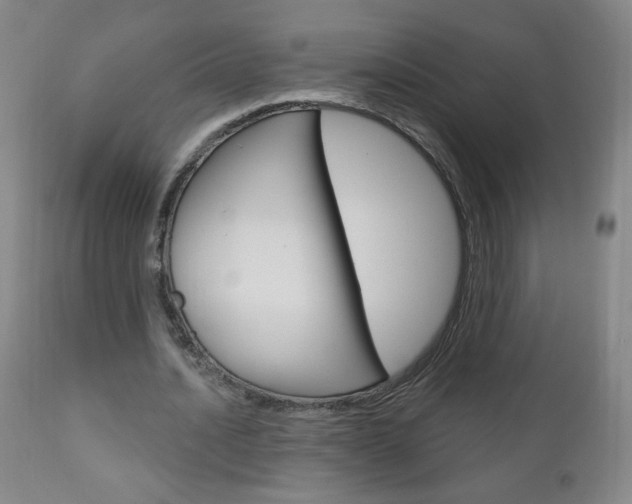 X0000111050628200906251120