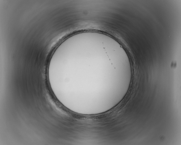 X0000111050629200906251120