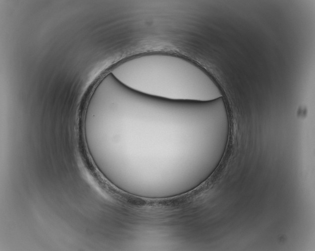 X0000111050630200906251120