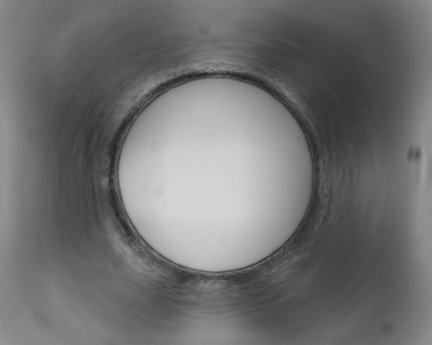 X0000111050631200906251120