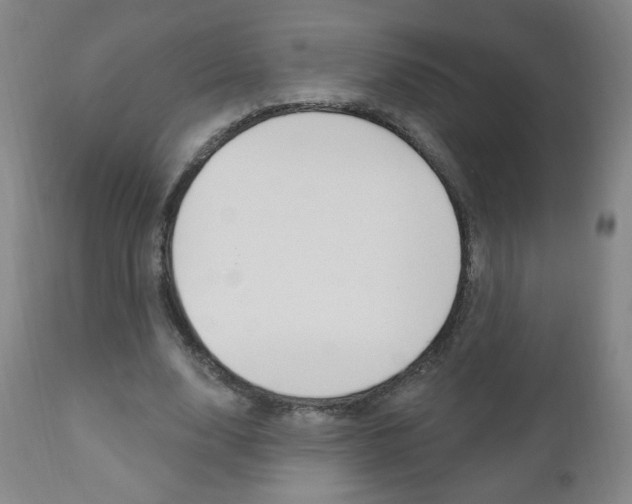 X0000111050632200906251120