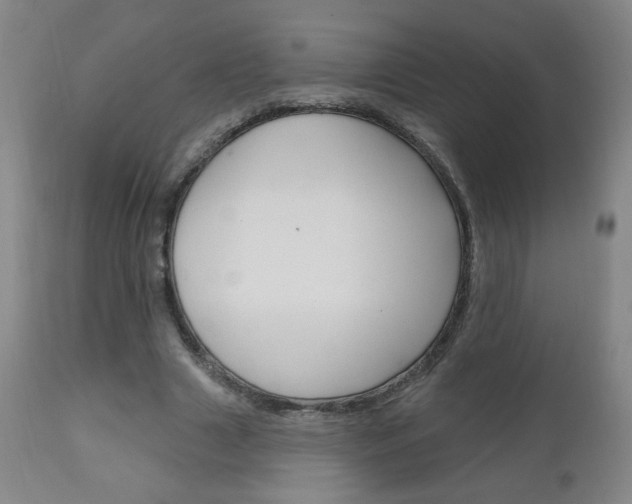 X0000111050633200906251120