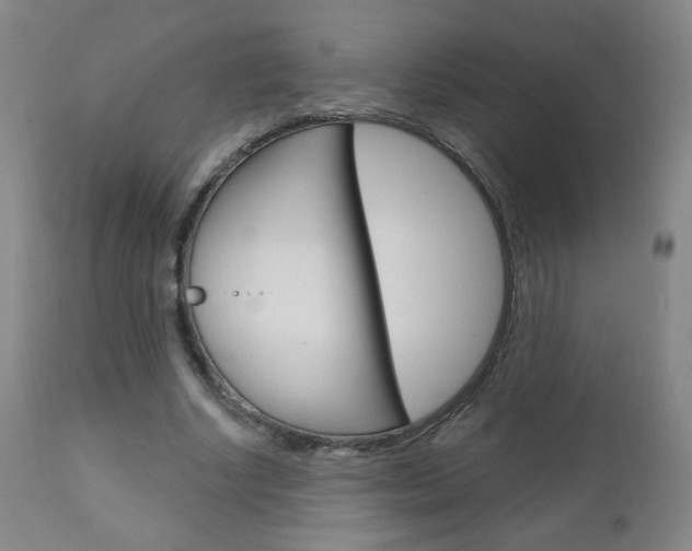 X0000111050634200906251120