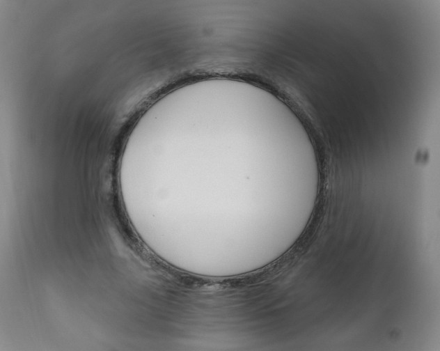 X0000111050635200906251120