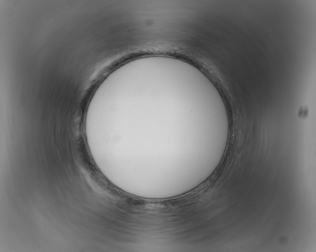 X0000111050636200906251120