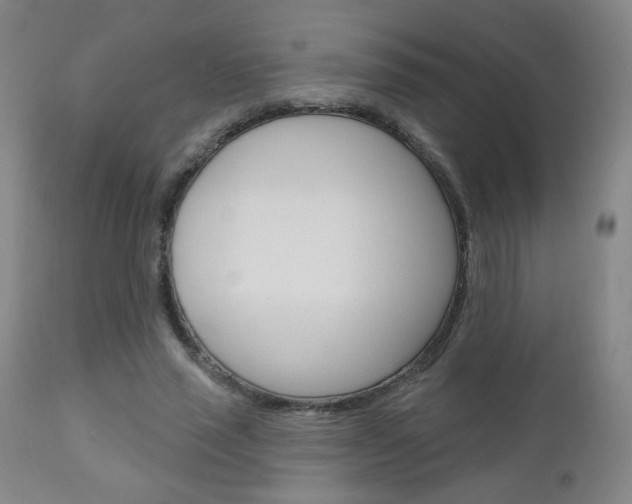 X0000111050637200906251120