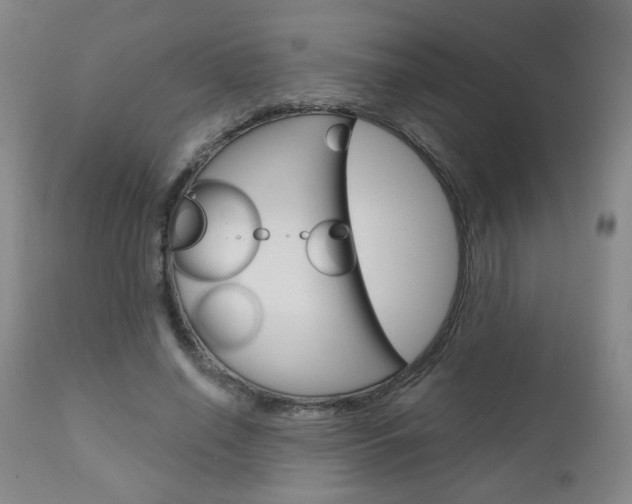 X0000111050638200906251120