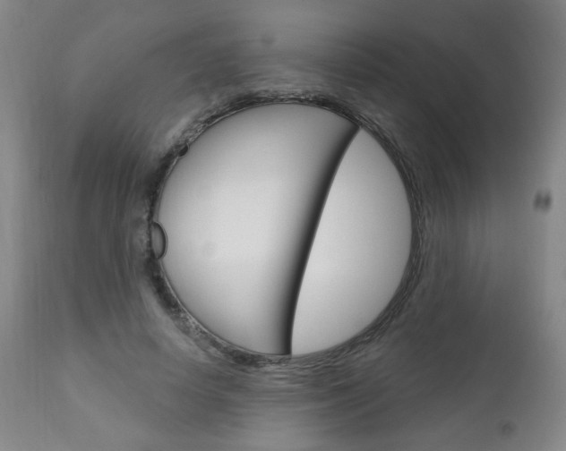 X0000111050642200906251121