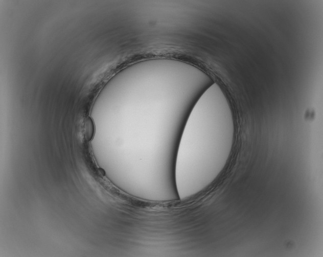 X0000111050644200906251121