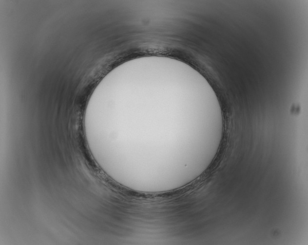 X0000111050645200906251121