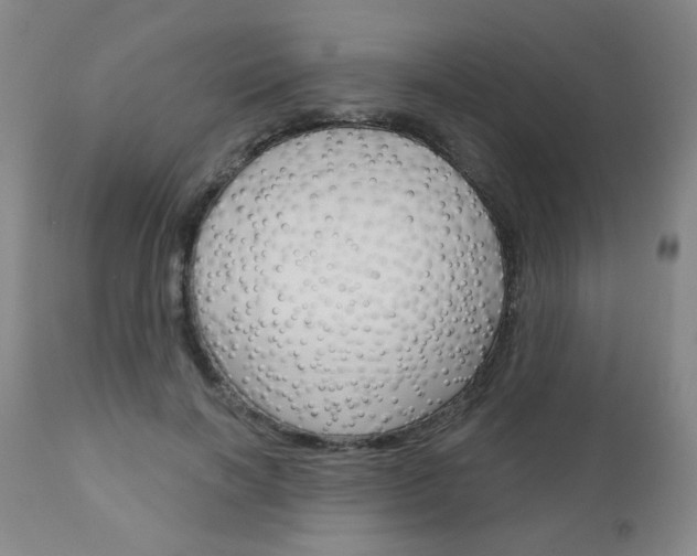 X0000111050646200906251121