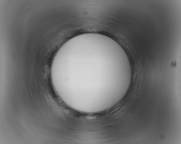 X0000111050647200906251121
