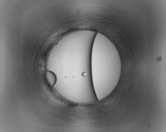 X0000111050648200906251121