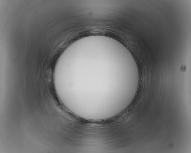 X0000111050649200906251121