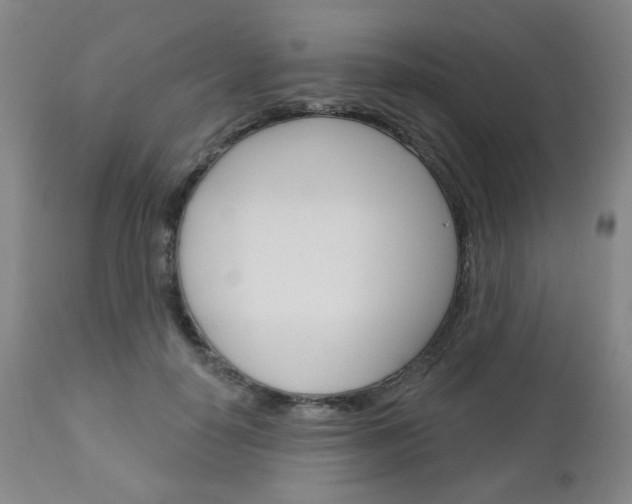 X0000111050650200906251121